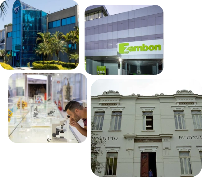 Imagem Ilustrando EMR