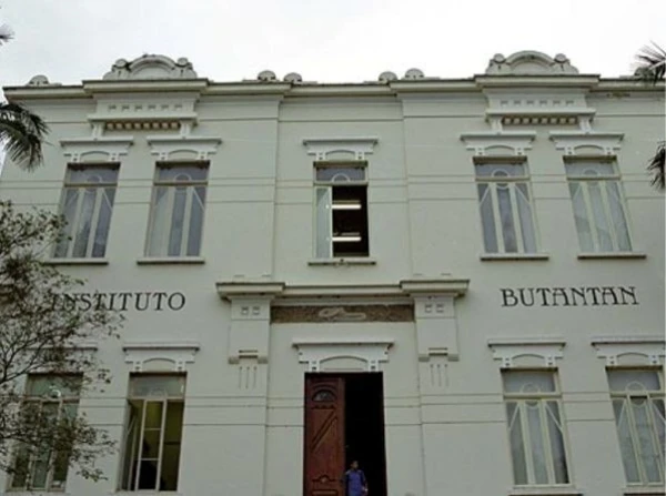 Segmento: Butantan